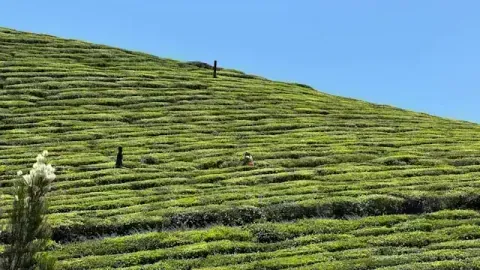Coonoor Hill Station Tour
