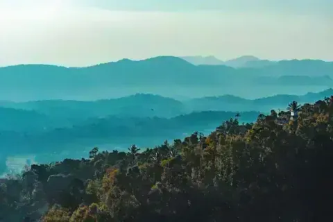 Coorg Coffee Plantation Tour