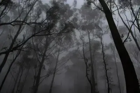 Yercaud Hill Station Tour